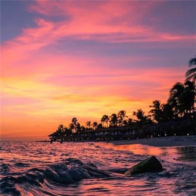 永盈会手机版手机app下载