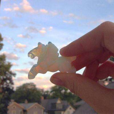 华体会登录(官方)APP下载下载手机版