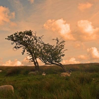 天博体育官方平台入口