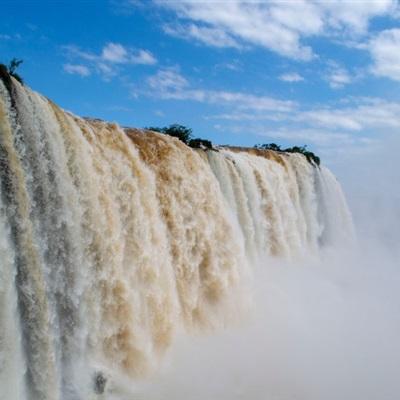 管家婆一码一肖资料下载手机版