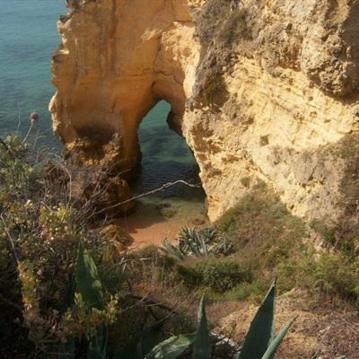 腾讯分分下载手机版