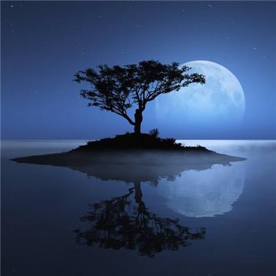 必一体育官网平台