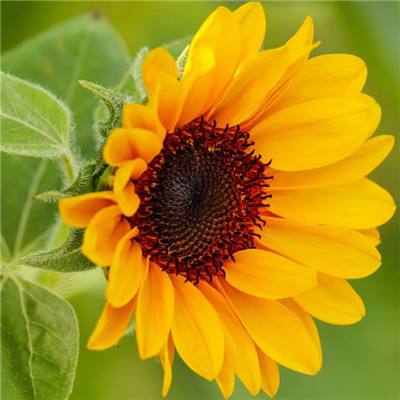 米乐·M6下载手机版