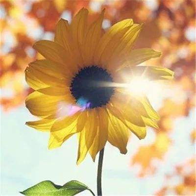 pg麻将胡了网站入口