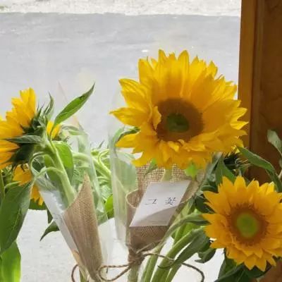 半岛.综合体育入口